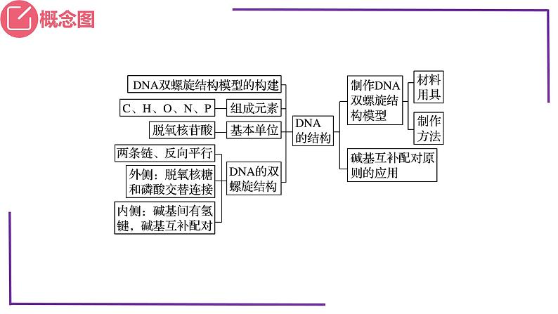 精讲40 DNA分子的结构-【备战一轮】最新高考生物一轮复习名师精讲课件第5页