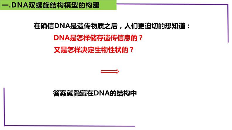 精讲40 DNA分子的结构-【备战一轮】最新高考生物一轮复习名师精讲课件第6页