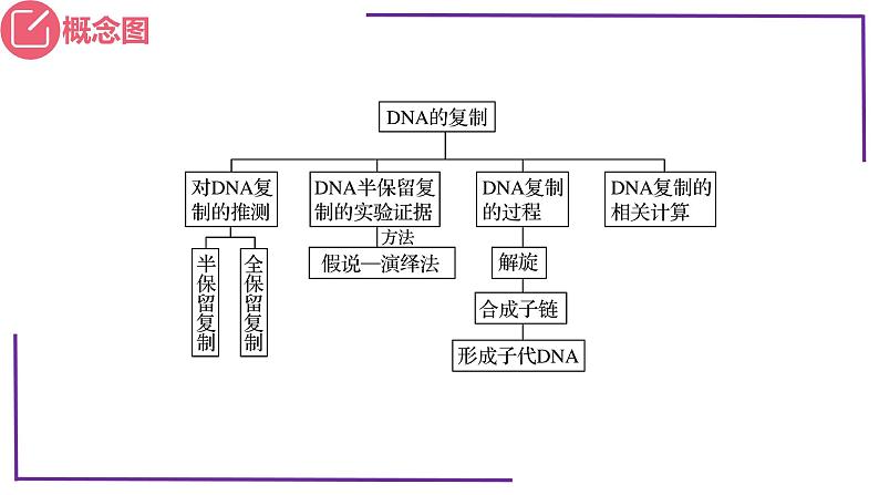 精讲41 DNA分子的复制-【备战一轮】最新高考生物一轮复习名师精讲课件05