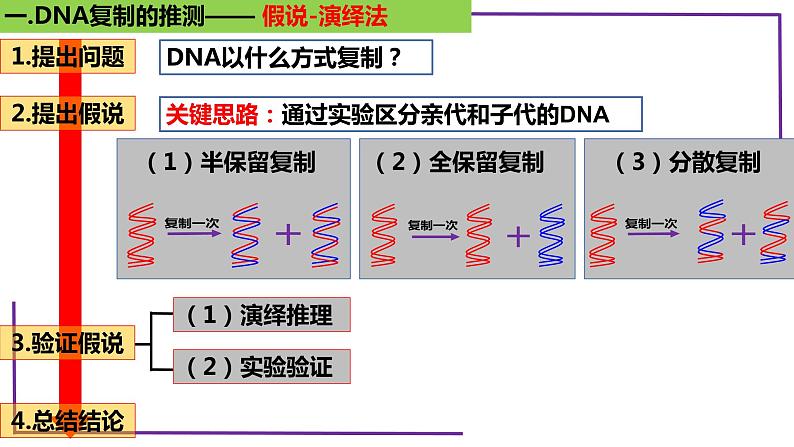 精讲41 DNA分子的复制-【备战一轮】最新高考生物一轮复习名师精讲课件06