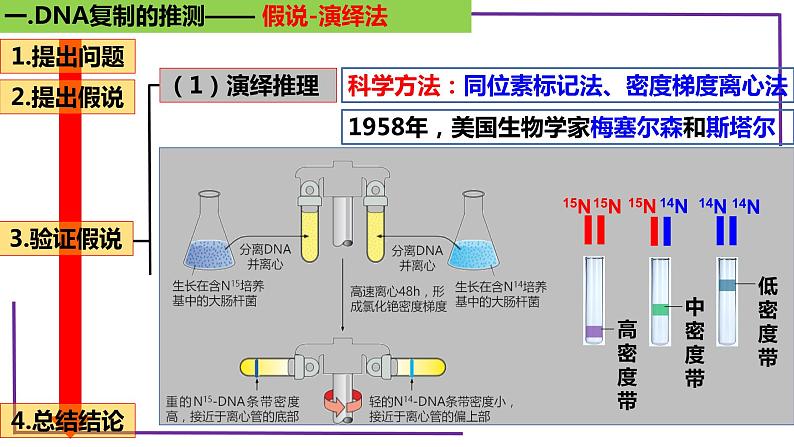 精讲41 DNA分子的复制-【备战一轮】最新高考生物一轮复习名师精讲课件07