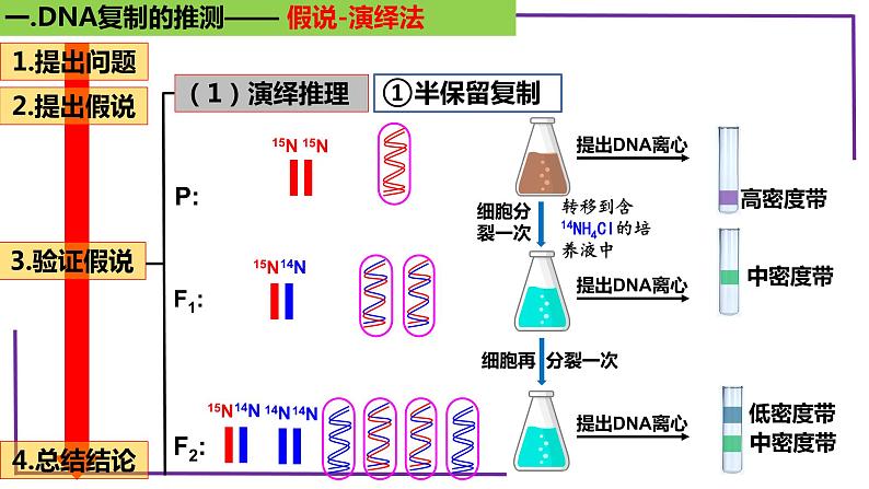 精讲41 DNA分子的复制-【备战一轮】最新高考生物一轮复习名师精讲课件08