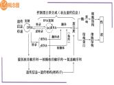 精讲42 基因的表达和对性状的控制-【备战一轮】最新高考生物一轮复习名师精讲课件