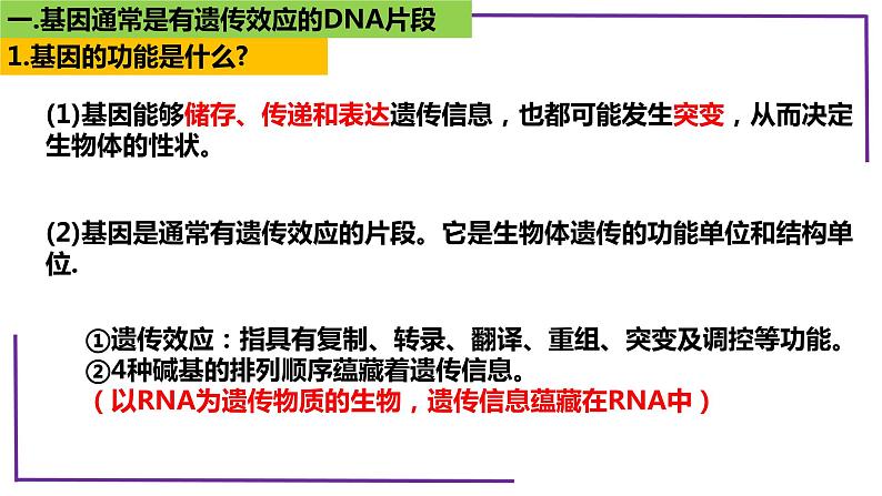 精讲42 基因的表达和对性状的控制-【备战一轮】最新高考生物一轮复习名师精讲课件第6页