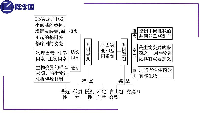 精讲44 基因突变和基因重组-【备战一轮】最新高考生物一轮复习名师精讲课件第5页