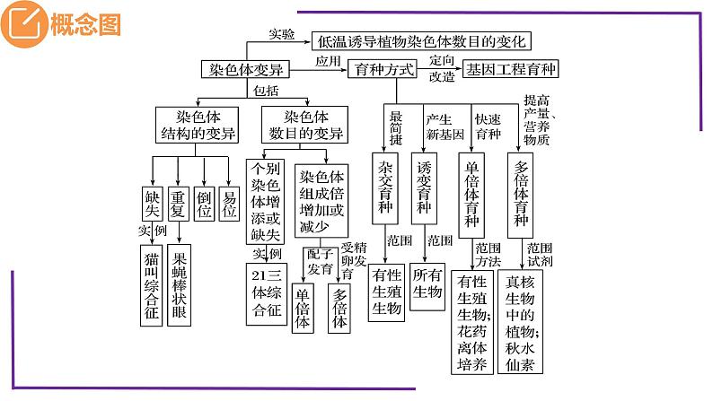 精讲45 染色体变异-【备战一轮】最新高考生物一轮复习名师精讲课件第5页