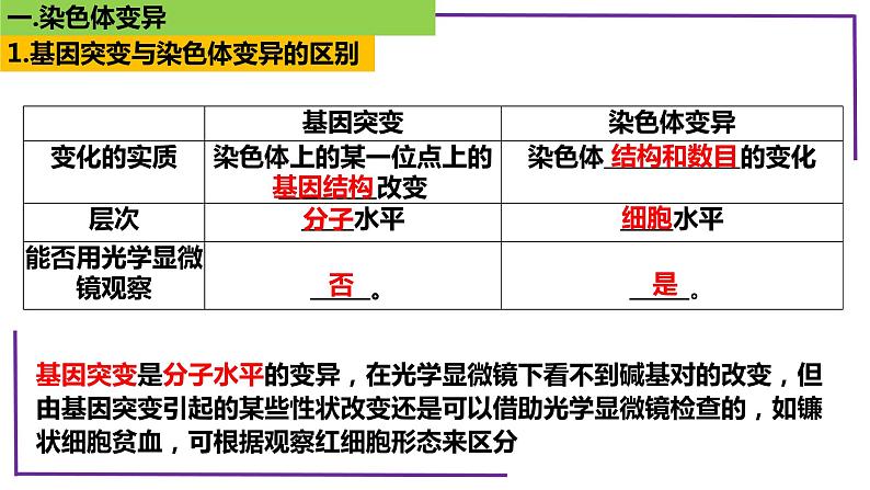 精讲45 染色体变异-【备战一轮】最新高考生物一轮复习名师精讲课件第6页