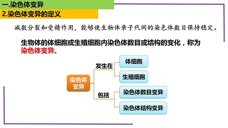 精讲45 染色体变异-【备战一轮】最新高考生物一轮复习名师精讲课件第7页