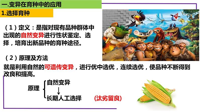 精讲46 变异在育种上的应用-【备战一轮】最新高考生物一轮复习名师精讲课件06