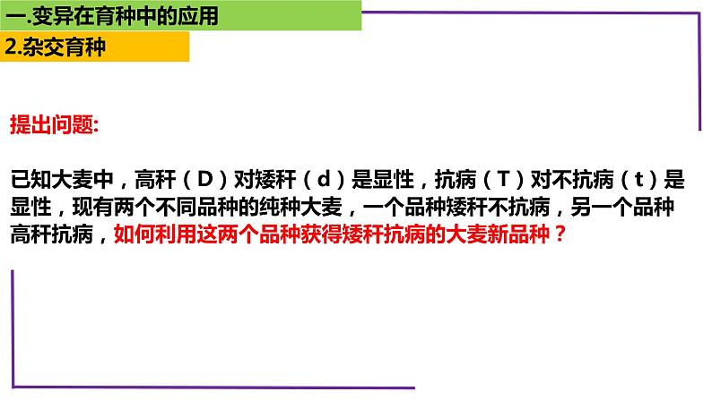 精讲46 变异在育种上的应用-【备战一轮】最新高考生物一轮复习名师精讲课件08