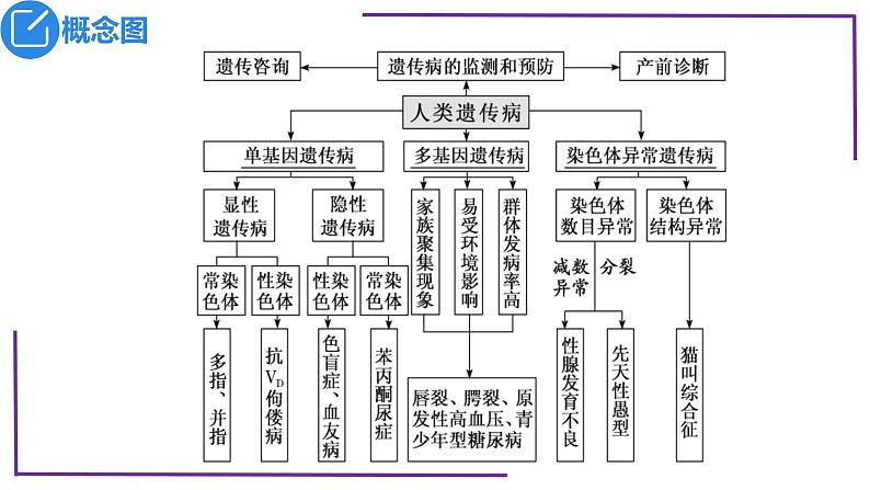 精讲47 人类遗传病-【备战一轮】最新高考生物一轮复习名师精讲课件第5页