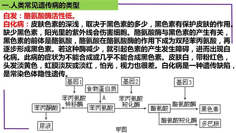 精讲47 人类遗传病-【备战一轮】最新高考生物一轮复习名师精讲课件第8页