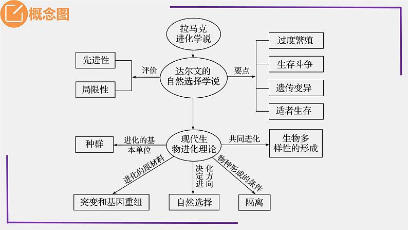 精讲48 生物的进化-【备战一轮】最新高考生物一轮复习名师精讲课件04