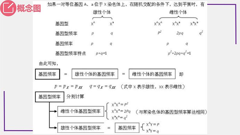 精讲49 种群基因频率的计算-【备战一轮】最新高考生物一轮复习名师精讲课件第5页