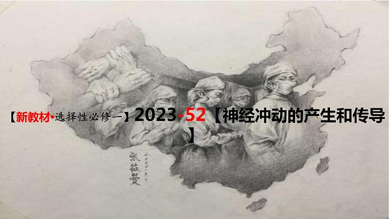 精讲52 神经冲动的产生和传导-【备战一轮】最新高考生物一轮复习名师精讲课件03