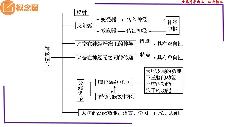 精讲52 神经冲动的产生和传导-【备战一轮】最新高考生物一轮复习名师精讲课件05