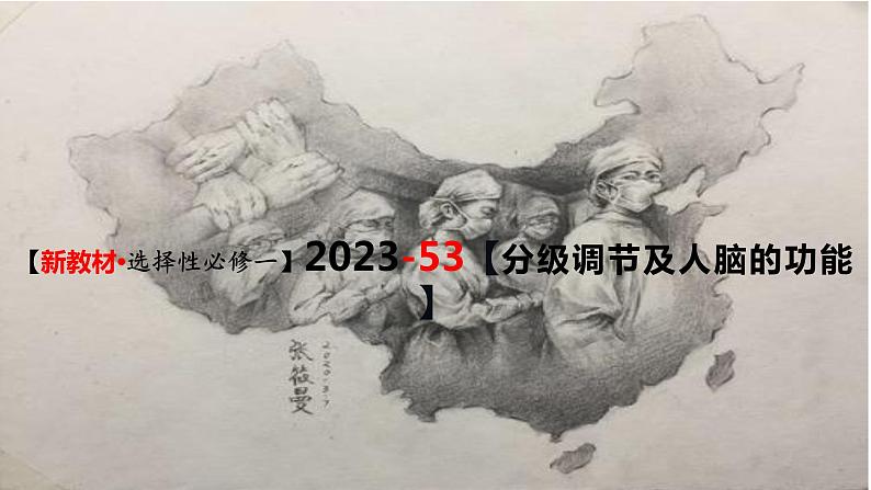 精讲53 神经系统的分级调节及人脑的高级功能-【备战一轮】最新高考生物一轮复习名师精讲课件03