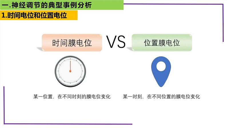 精讲54 神经调节的典型事例分析-【备战一轮】最新高考生物一轮复习名师精讲课件第5页