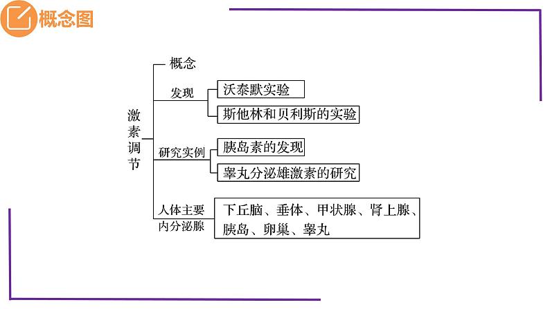 精讲55 体液调节与内分泌系统-【备战一轮】最新高考生物一轮复习名师精讲课件05