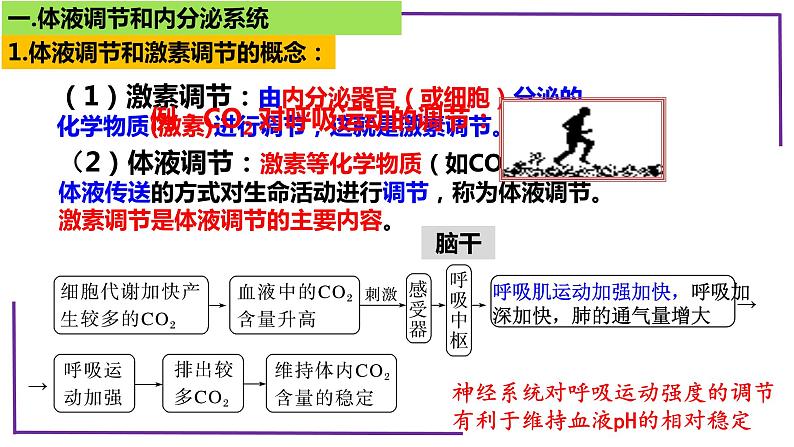 精讲55 体液调节与内分泌系统-【备战一轮】最新高考生物一轮复习名师精讲课件06