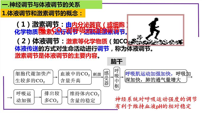 精讲57 体液调节与神经调节关系-【备战一轮】最新高考生物一轮复习名师精讲课件06