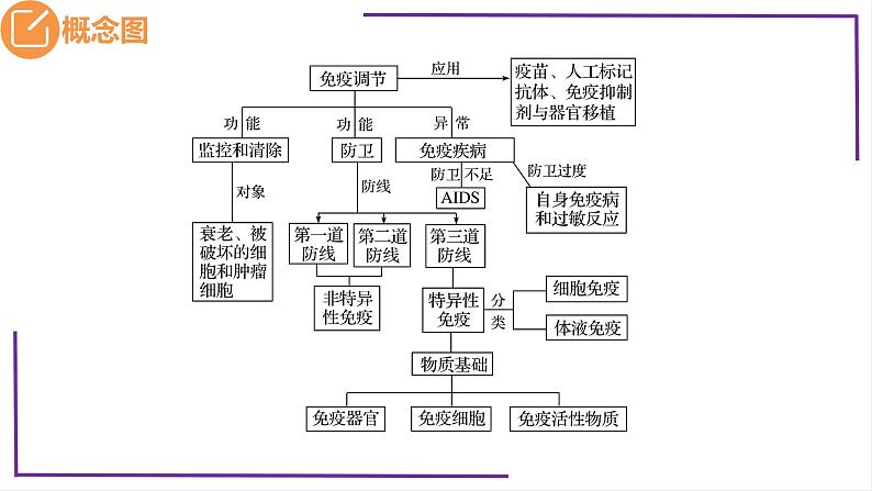 精讲59 免疫调节-【备战一轮】最新高考生物一轮复习名师精讲课件04