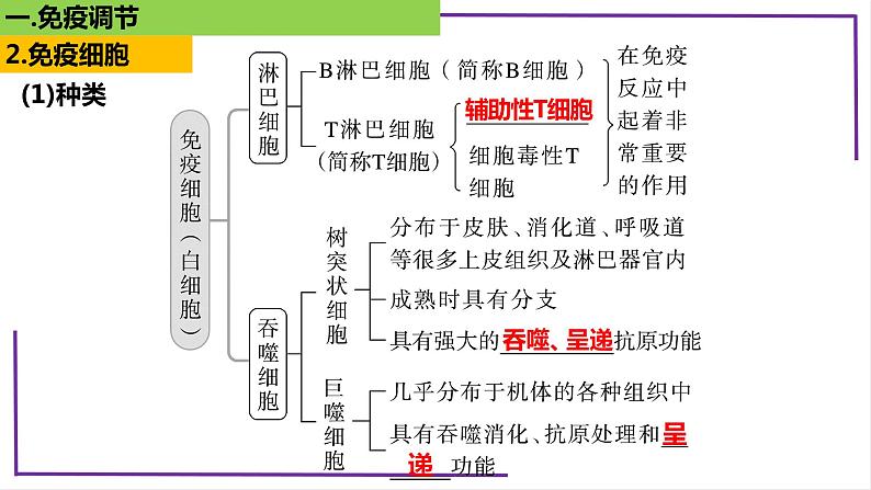 精讲59 免疫调节-【备战一轮】最新高考生物一轮复习名师精讲课件07