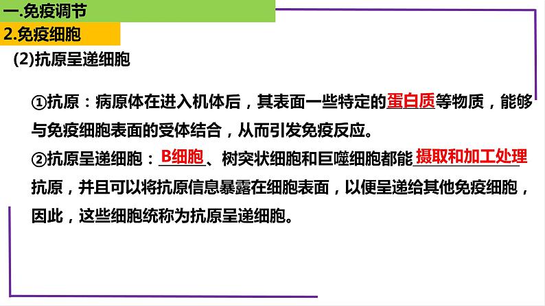 精讲59 免疫调节-【备战一轮】最新高考生物一轮复习名师精讲课件08