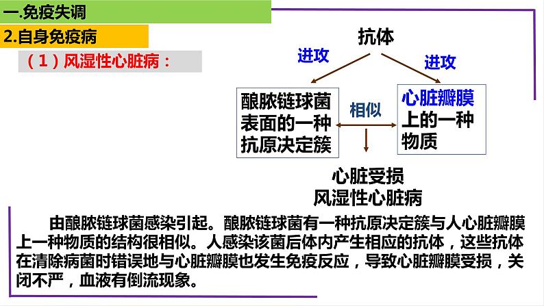 精讲60 免疫失调和免疫学的应用-【备战一轮】最新高考生物一轮复习名师精讲课件08