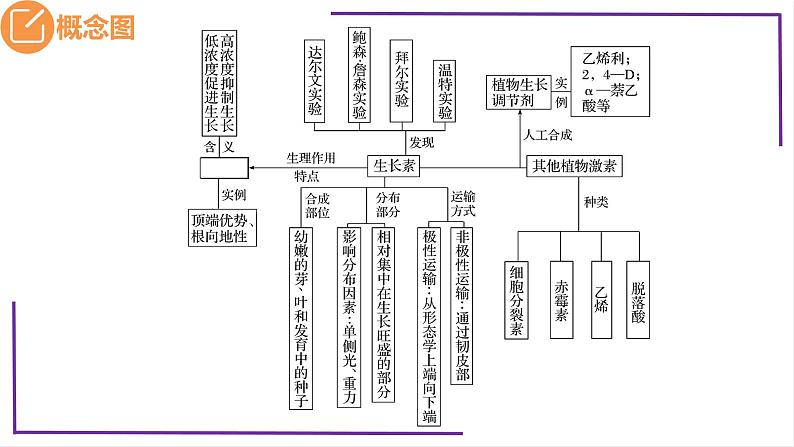 精讲61 植物生长素-【备战一轮】最新高考生物一轮复习名师精讲课件05