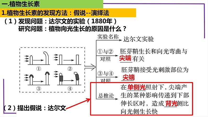 精讲61 植物生长素-【备战一轮】最新高考生物一轮复习名师精讲课件07