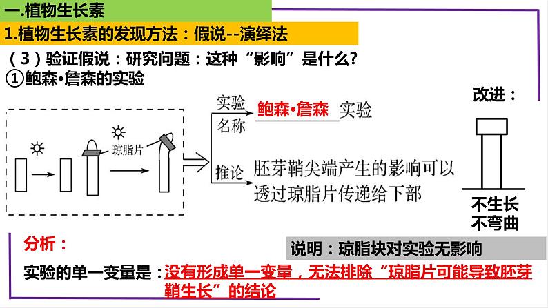 精讲61 植物生长素-【备战一轮】最新高考生物一轮复习名师精讲课件08