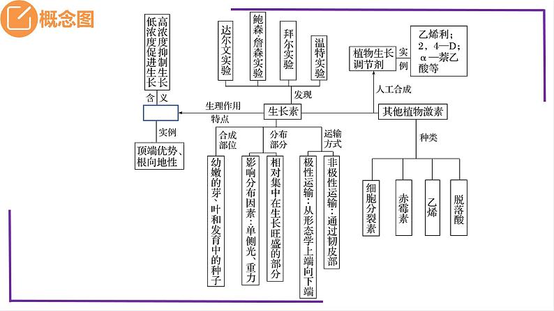 精讲62 植物生长素的生理作用-【备战一轮】最新高考生物一轮复习名师精讲课件05