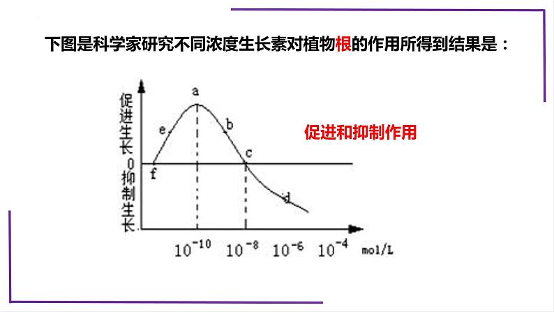 精讲62 植物生长素的生理作用-【备战一轮】最新高考生物一轮复习名师精讲课件06