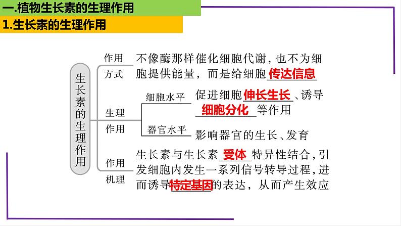 精讲62 植物生长素的生理作用-【备战一轮】最新高考生物一轮复习名师精讲课件07