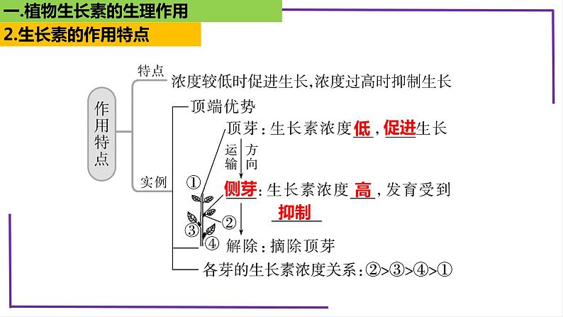 精讲62 植物生长素的生理作用-【备战一轮】最新高考生物一轮复习名师精讲课件08