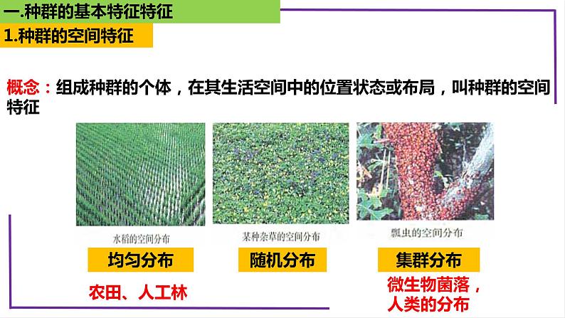 精讲65 种群的数量特征-【备战一轮】最新高考生物一轮复习名师精讲课件第7页