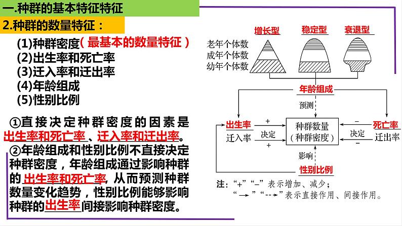 精讲65 种群的数量特征-【备战一轮】最新高考生物一轮复习名师精讲课件第8页