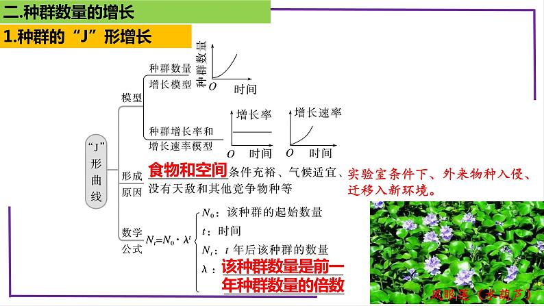 精讲66 种群的数量变化及影响因素-【备战一轮】最新高考生物一轮复习名师精讲课件07