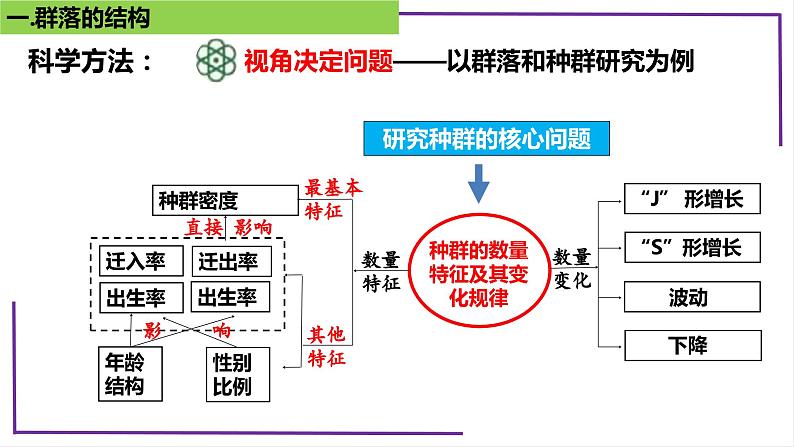 精讲67 群落的结构-【备战一轮】最新高考生物一轮复习名师精讲课件第6页