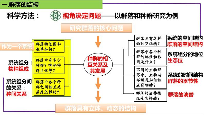 精讲67 群落的结构-【备战一轮】最新高考生物一轮复习名师精讲课件第7页