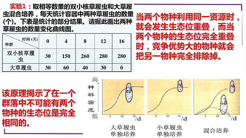 精讲68 群落的生态位-【备战一轮】最新高考生物一轮复习名师精讲课件第6页