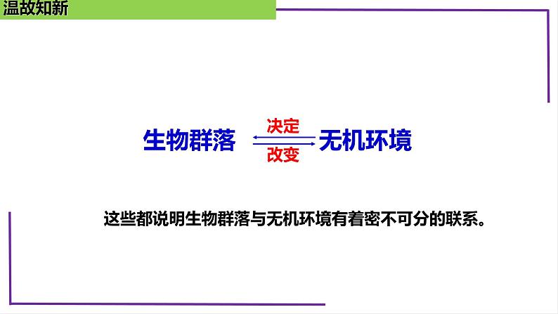 精讲70 生态系统的结构-【备战一轮】最新高考生物一轮复习名师精讲课件第7页