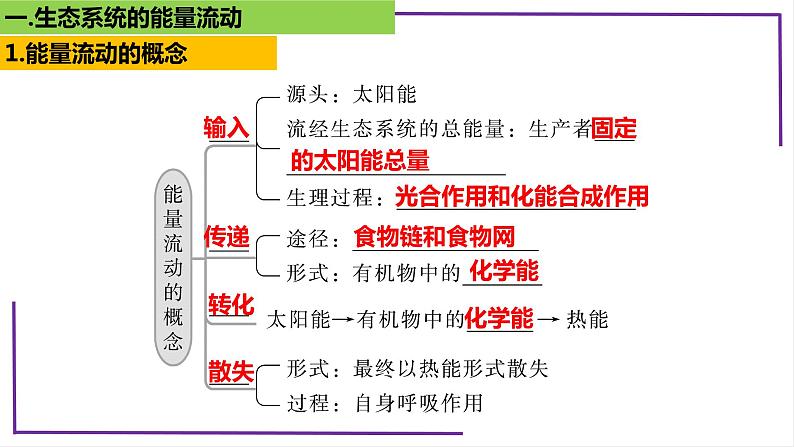 精讲71 生态系统的能量流动-【备战一轮】最新高考生物一轮复习名师精讲课件第6页