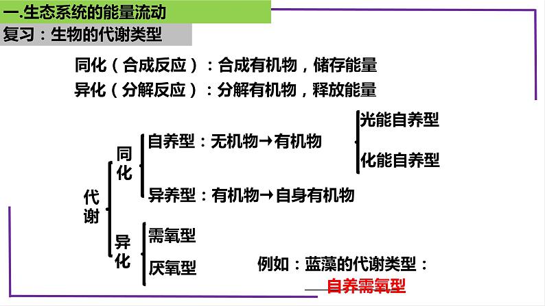 精讲71 生态系统的能量流动-【备战一轮】最新高考生物一轮复习名师精讲课件第8页