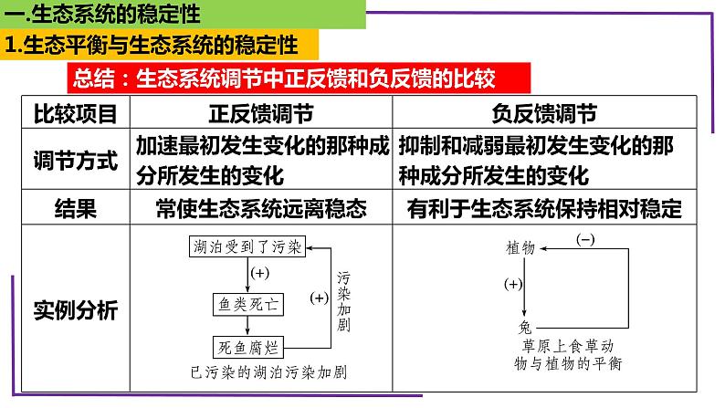 精讲73 生态系统的稳定性-【备战一轮】最新高考生物一轮复习名师精讲课件08