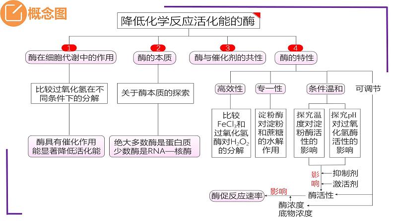 精讲13 降低化学反应活化能的酶-【备战一轮】最新高考生物一轮复习名师精讲课件第5页