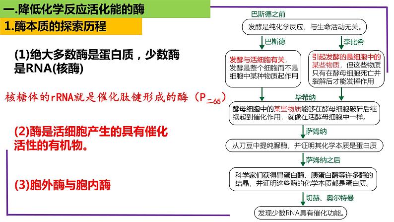 精讲13 降低化学反应活化能的酶-【备战一轮】最新高考生物一轮复习名师精讲课件第6页