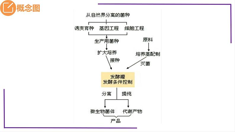 精讲75 传统发酵技术的应用、发酵工程及其应用-【备战一轮】最新高考生物一轮复习名师精讲课件05