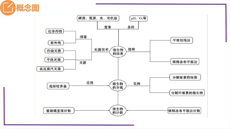 精讲76 微生物的培养技术及应用-【备战一轮】最新高考生物一轮复习名师精讲课件05